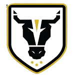Bulls FC Academy